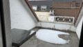 Balkon/Terrasse