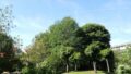 Aussicht