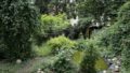Garten mit Teich