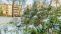 Aussicht
