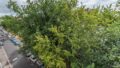 Aussicht