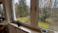 Ausblick